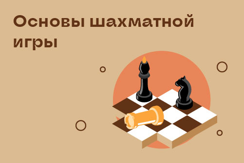 1848038. Основы шахматной игры